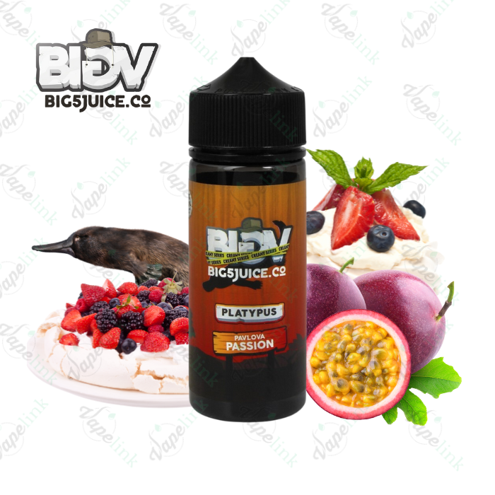 BIG 5 JUICE CO. – PLATYPUS 100ml