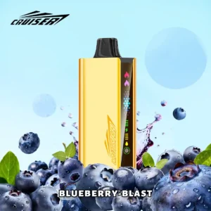 Blueberry Blast  JNR Cruiser Gold Vape